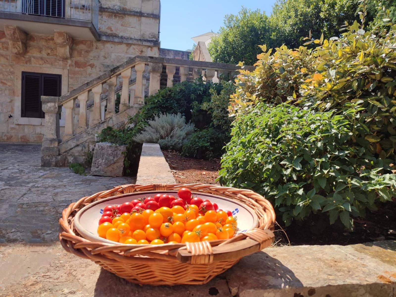 Villa Ostuni Monopoli Ngoại thất bức ảnh