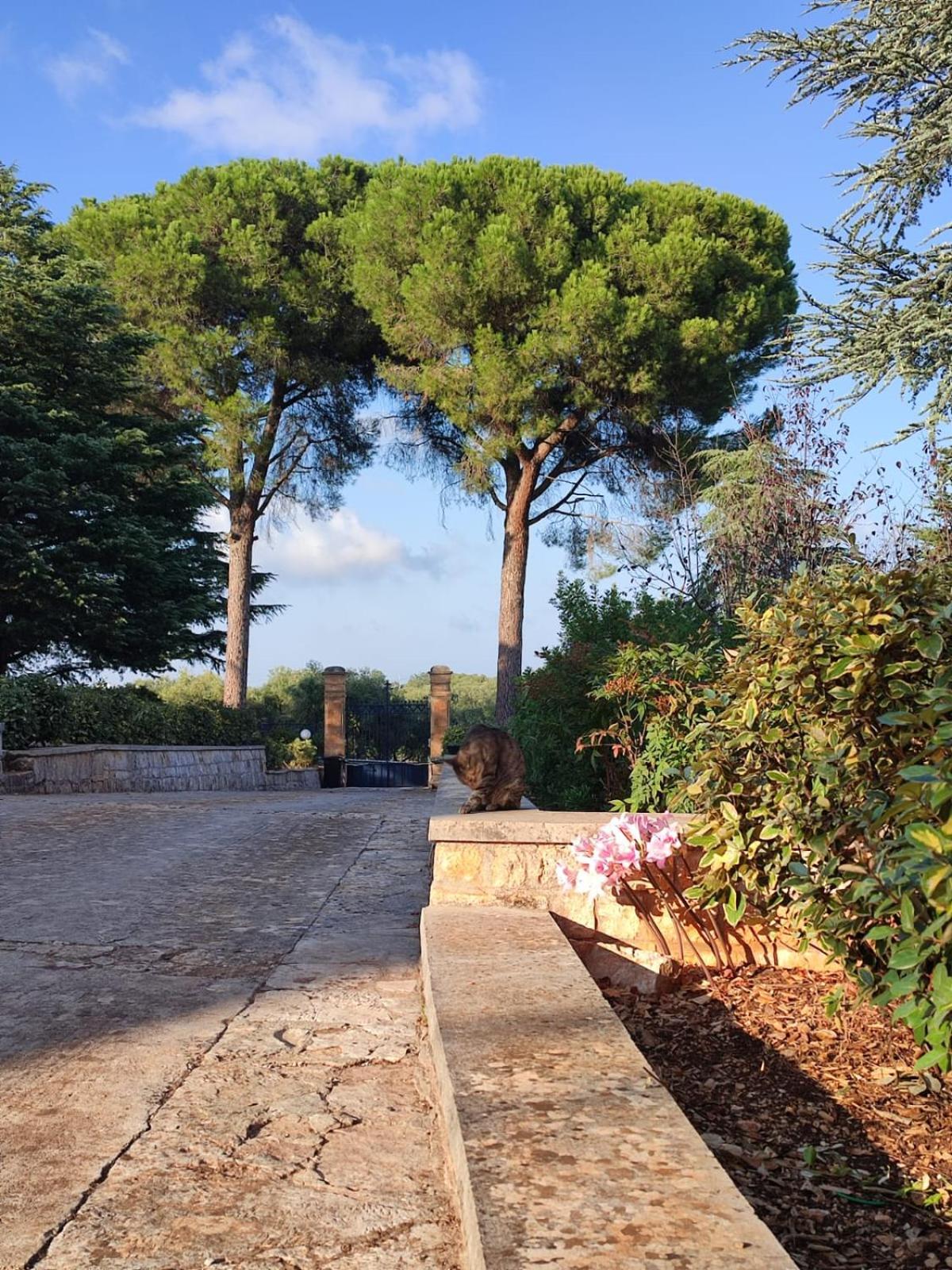 Villa Ostuni Monopoli Ngoại thất bức ảnh